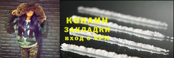 молекула духа Бородино
