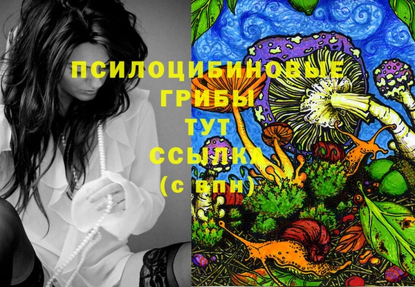 молекула духа Бородино