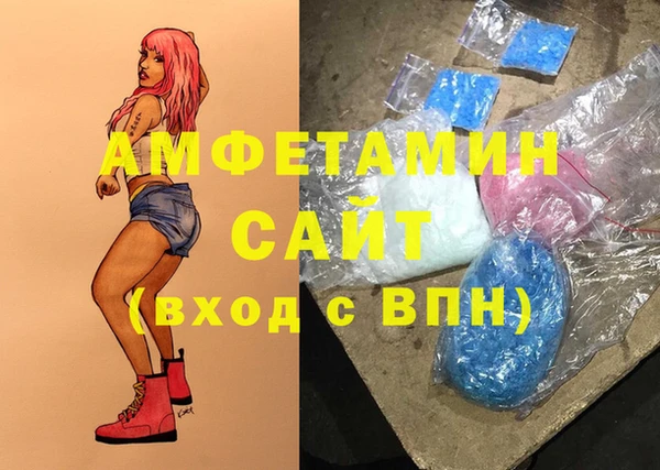 молекула духа Бородино