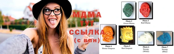 молекула духа Бородино