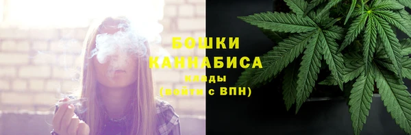 молекула духа Бородино