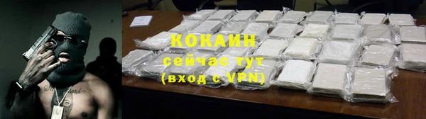 молекула духа Бородино