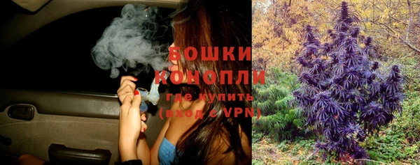 молекула духа Бородино