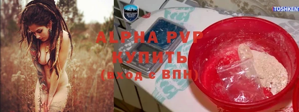 молекула духа Бородино