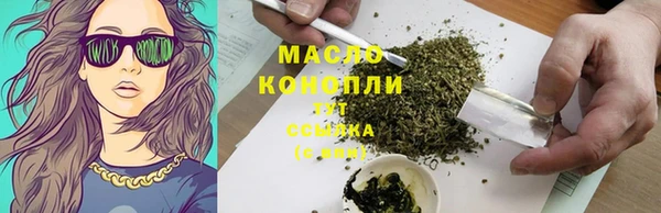 молекула духа Бородино