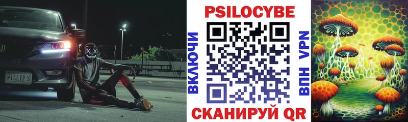 ссылка на мегу ссылка Новомичуринск Галлюциногенные грибы MAGIC MUSHROOMS